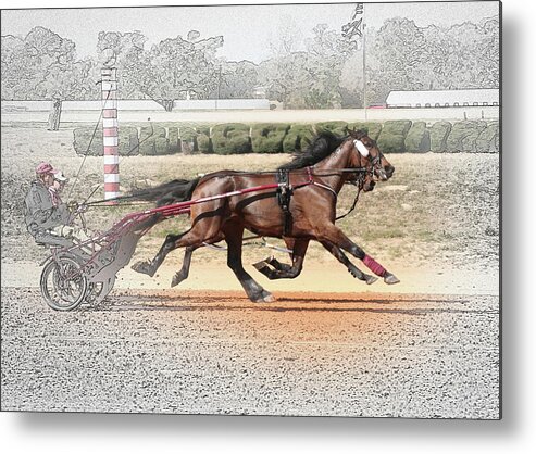 Horses Metal Print featuring the photograph Stepping Out by M Kathleen Warren