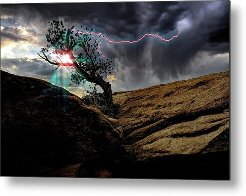 Tree Metal Print featuring the photograph Struck by Lightning by Harry Spitz