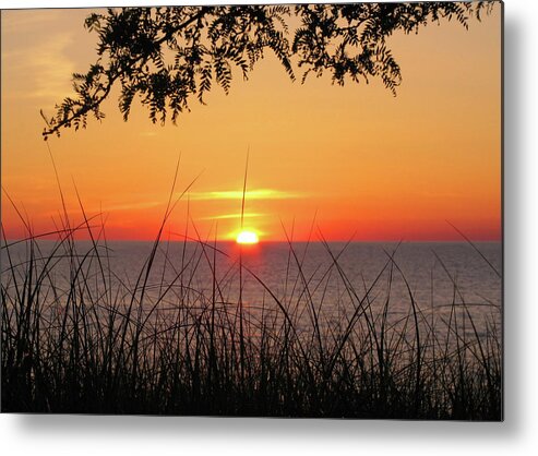 Oval Beach Metal Print featuring the photograph Sun Touched by Kathi Mirto