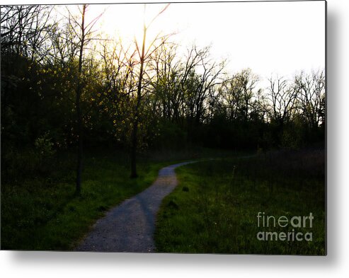 Nature Metal Print featuring the photograph Sunlight Through The Trees - Orton Effect by Frank J Casella
