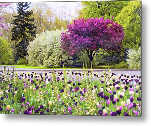 Garden Metal Print featuring the photograph Symphony of Spring by Jessica Jenney