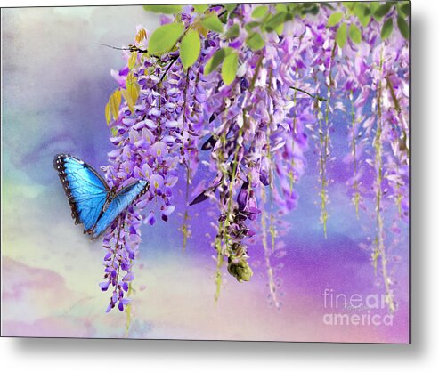 Wisteria Metal Print featuring the mixed media The Gentle Touch by Morag Bates