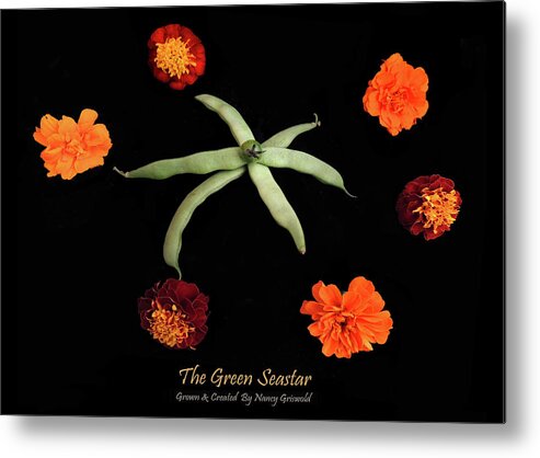 Vegetables Metal Print featuring the photograph The Green Sea Star Vegetable Art by Nancy Griswold