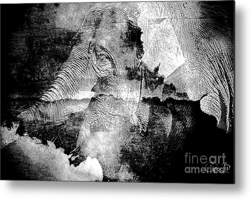 Elephant Metal Print featuring the digital art The Memories of an Elephant by Chris Bee