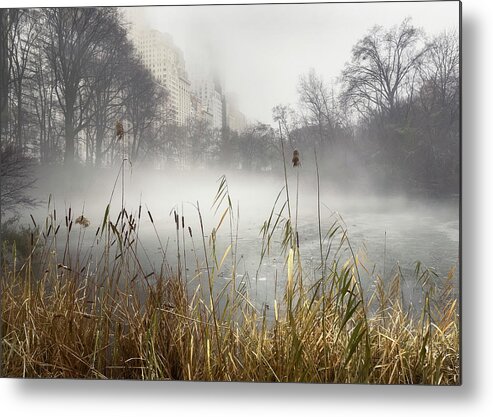 Central Park Metal Print featuring the photograph The Pond and the Fog by Cate Franklyn