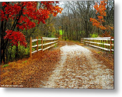 Autumn Metal Print featuring the photograph Trailing In Autumn by Tami Quigley
