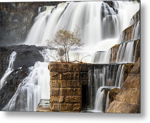 Croton Gorge Metal Print featuring the photograph Tree Has the Best View by Kristopher Schoenleber