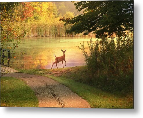 Deer Metal Print featuring the photograph Unexpected Beauty by Rob Blair