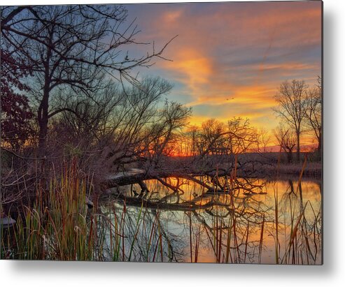 Viking Metal Print featuring the photograph Viking Reflections - autumn sunset at fallen tree on Yahara River at Stoughton WI by Peter Herman