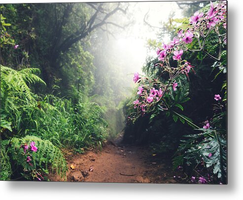 Scenics Metal Print featuring the photograph Walking Path On Madeira Island by Borchee