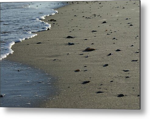  Metal Print featuring the photograph Washed Ashore by Heather E Harman