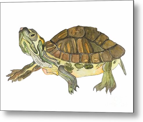 Amphibian Metal Print featuring the painting Watercolor Turtle by Lynda Evans