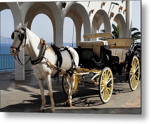 Horse Metal Print featuring the photograph White horse with carriage by Severija Kirilovaite