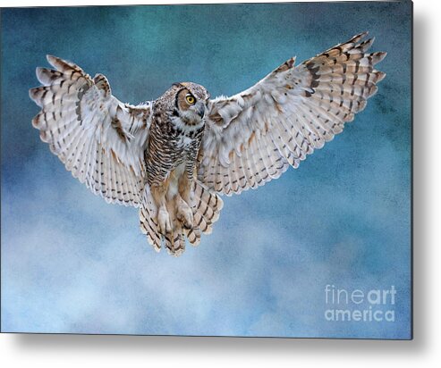 Nina Stavlund Metal Print featuring the photograph Wide Open Wings by Nina Stavlund