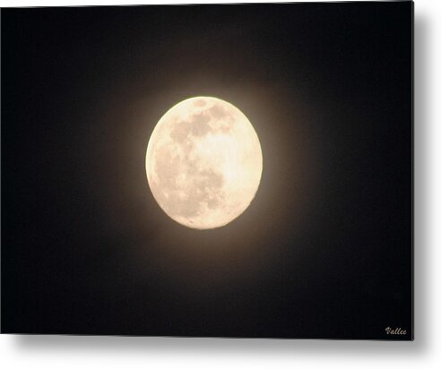 Moon Metal Print featuring the photograph Worm Moon by Vallee Johnson