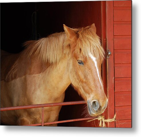 Stabled - Art Mccaffrey Metal Print featuring the photograph Stabled by Art Mccaffrey