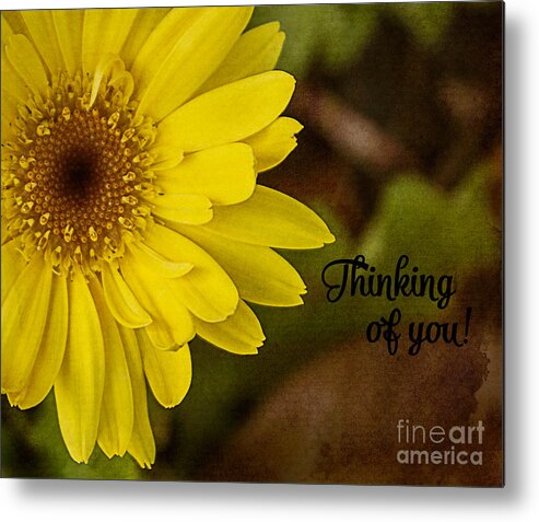 Daisy Metal Print featuring the photograph Thinking Of You by Arlene Carmel