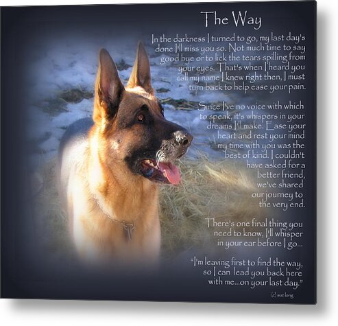 Quote Metal Print featuring the photograph Custom Paw Print Maxx by Sue Long