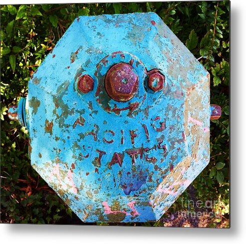 Fire Hydrant Metal Print featuring the photograph Fire hydrant #3 by Suzanne Lorenz