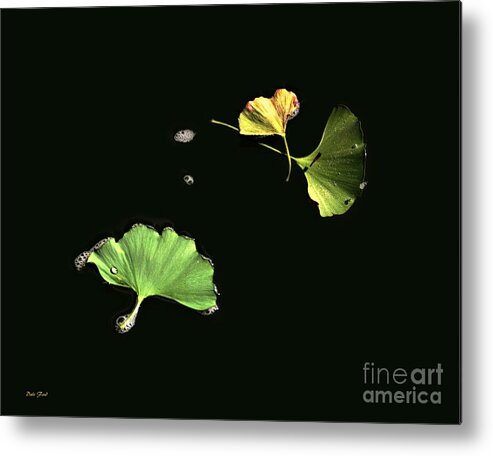 Ginko Metal Print featuring the digital art Floating Ginko Leaves by Dale  Ford
