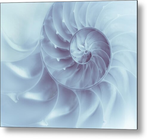 Nautilus Metal Print featuring the photograph Nautilus - Dreaming of the Sea by Tom Mc Nemar