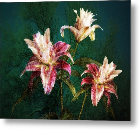 Rose Lily Art Metal Print featuring the photograph Rose Lily Number Three by Bob Coates