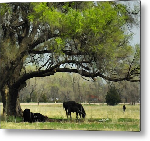 Cattle Metal Print featuring the photograph Shady Rest by Bill Kesler