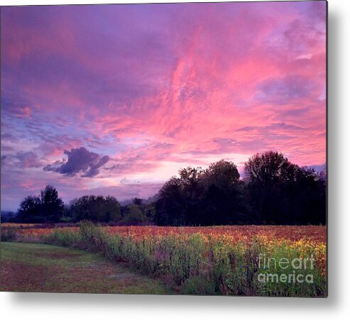 South Metal Print featuring the photograph Sunrise in the South by T Lowry Wilson