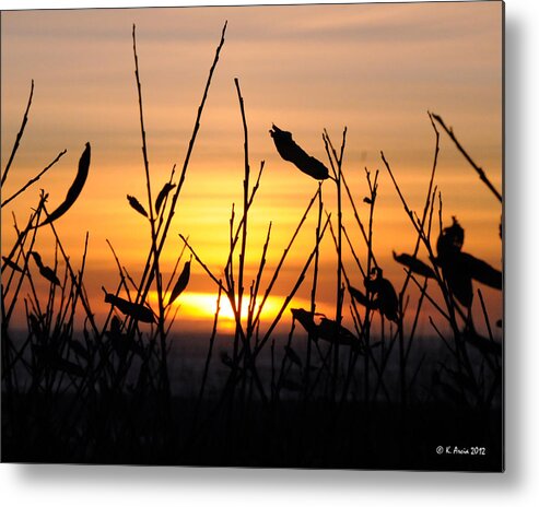 Sunset Metal Print featuring the photograph Sunset in Half Moon Bay by Ken Arcia