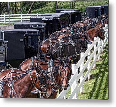 Horse Metal Print featuring the photograph Amish Parking Lot by Tom Mc Nemar
