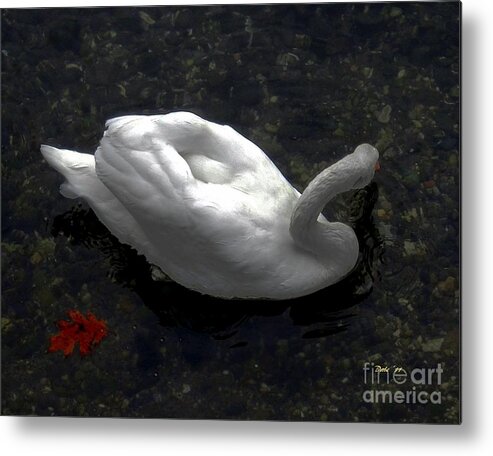 Seabirds Metal Print featuring the digital art Swan With Leaf by Dale  Ford