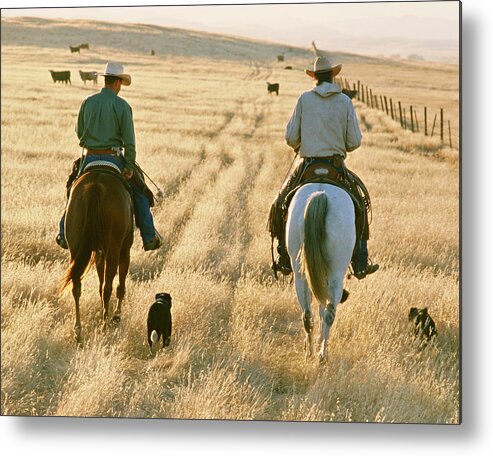 Cowboys Working Metal Print featuring the photograph The Cunningham by Diane Bohna