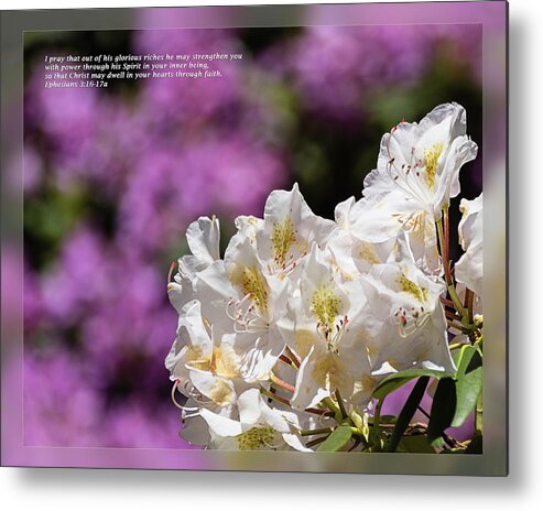 Daily Scripture Metal Print featuring the photograph Ephesians 3 16-17a by Dawn Currie
