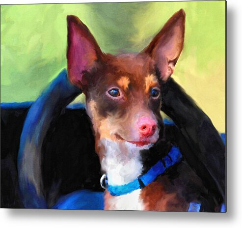 Rat Terrier Metal Print featuring the painting Driver's Seat by Jai Johnson