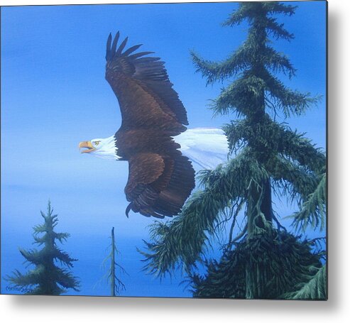 Birds Metal Print featuring the painting Eagle At Treetop Level by Michael Allen