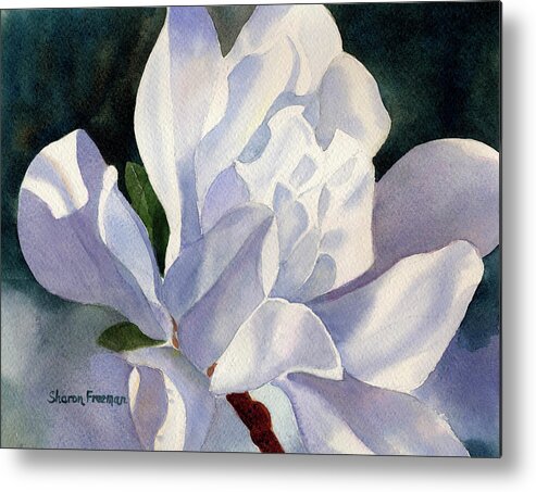 Star Magnolia Metal Print featuring the painting One Star Magnolia Blossom by Sharon Freeman