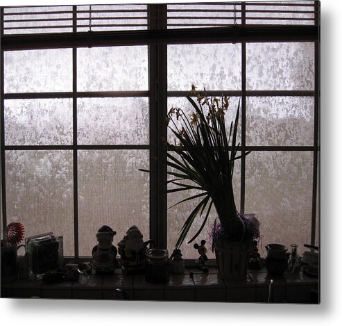 Photography Metal Print featuring the photograph Rain by Lessandra Grimley