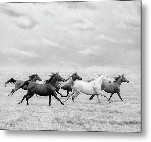 Arabian Metal Print featuring the photograph Run Away by Phyllis Burchett