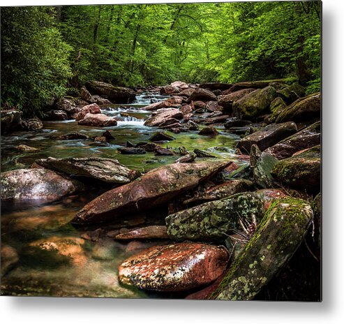 America Metal Print featuring the photograph The Forest Primeval by ProPeak Photography