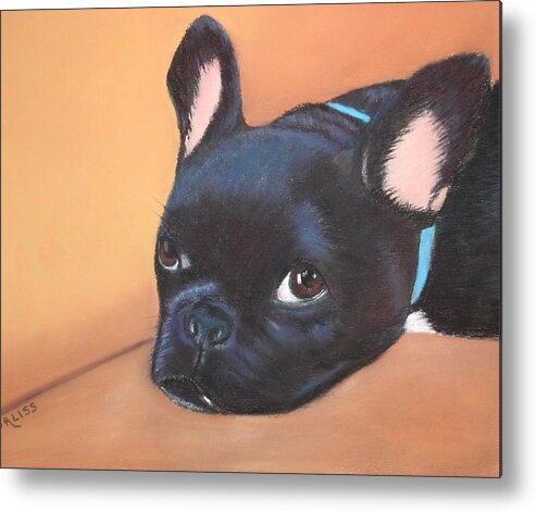 Dog Metal Print featuring the pastel This Is Max by Carol Corliss