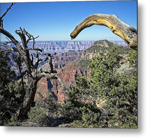 Angel Metal Print featuring the photograph Grand Canyon North Rim #1 by Ronald Lutz