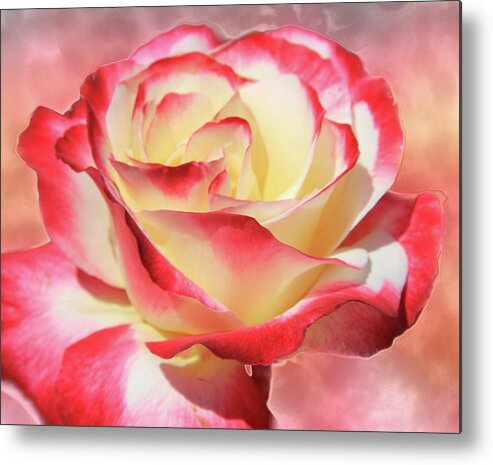  Pink Rose Metal Print featuring the photograph Pink Rose by Athala Bruckner