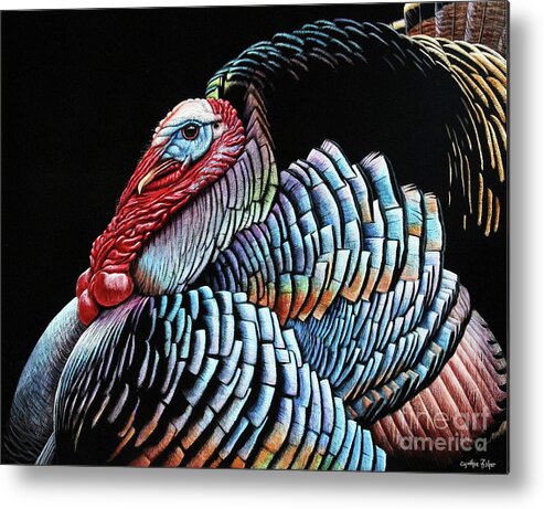 Cynthie Fisher Metal Print featuring the drawing Tom Turkey Scratch Board by Cynthie Fisher