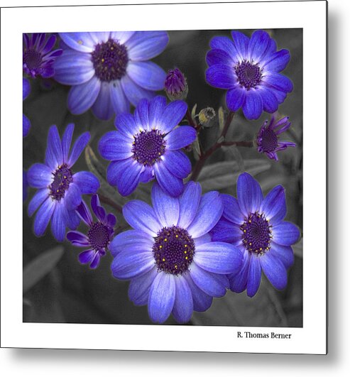  Metal Print featuring the photograph Au Naturel by R Thomas Berner