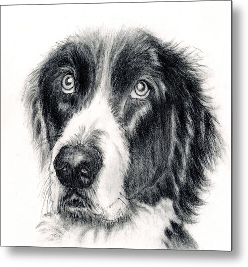 Dog Portrait Metal Print featuring the drawing Dog Portrait Art Print #3 by Barbara J Hart