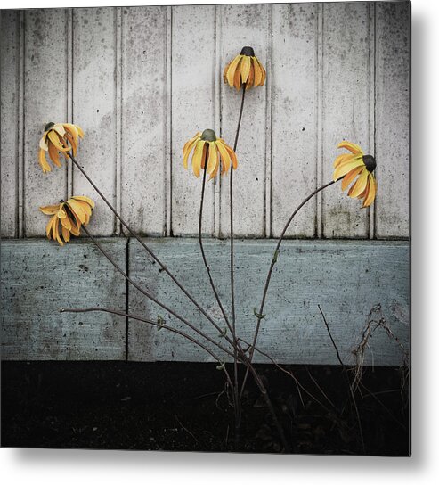 Flowers Metal Print featuring the photograph Fake Wilted Flowers by Steve Stanger