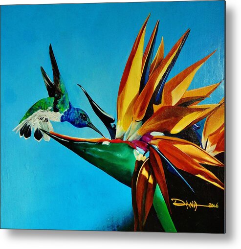 Birds Metal Print featuring the painting Birds of Paradise with White necked Jacobin hummingbird by Dana Newman