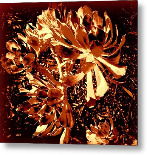 Leaves Metal Print featuring the photograph An Old - Fashioned Girl Floral by VIVA Anderson