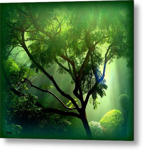 Green Metal Print featuring the photograph Misty Morning by VIVA Anderson