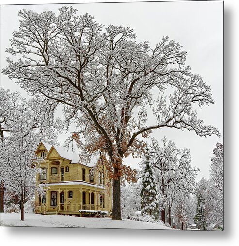 Oak Metal Print featuring the photograph Oakitecture #2 - Historic Stoughton home and oak tree in wintertime by Peter Herman